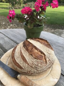Bread Workshops